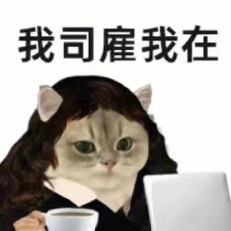 我司雇我在