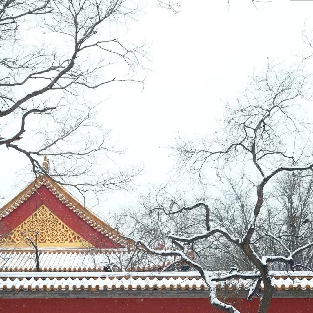 文人墨客