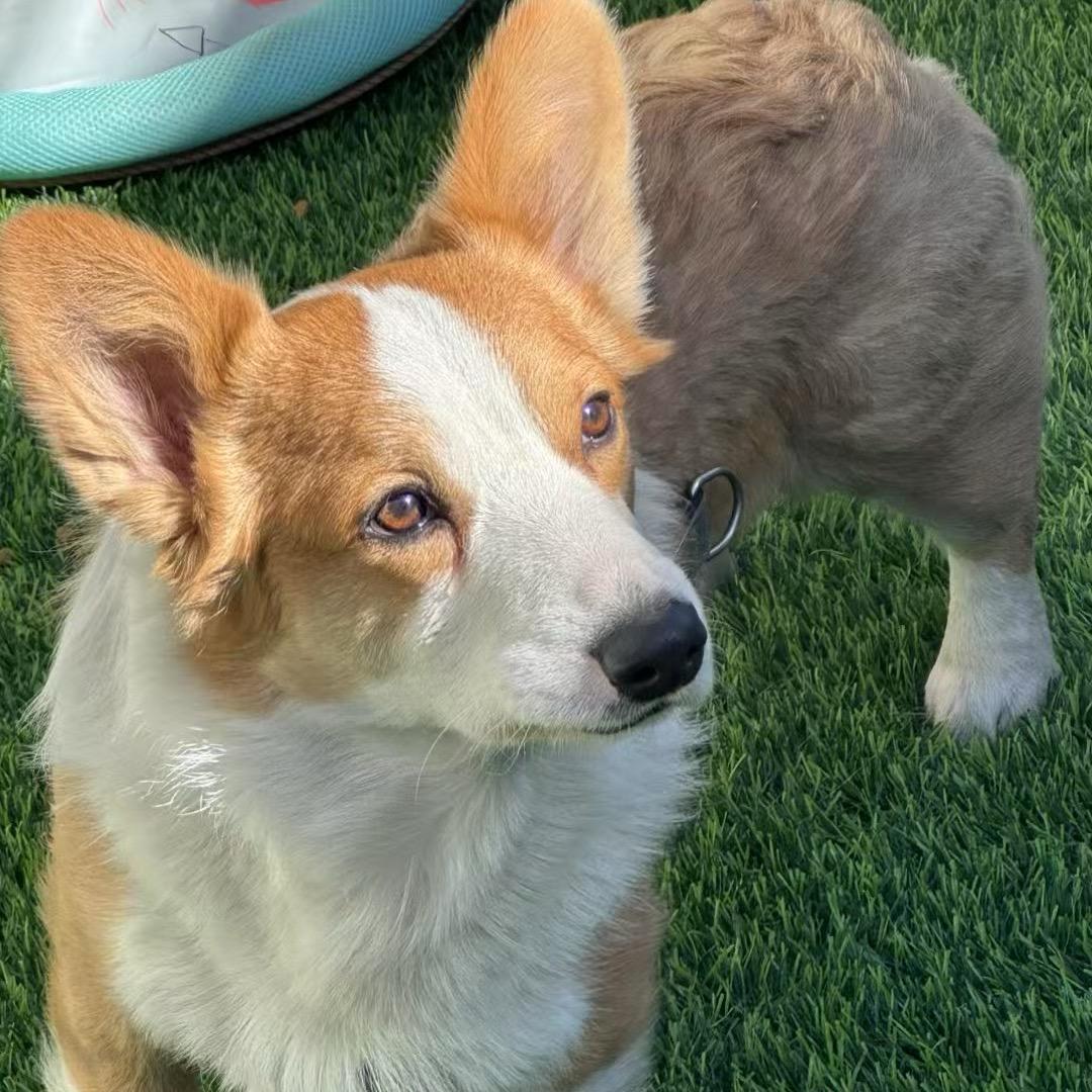 平平安安健健康康