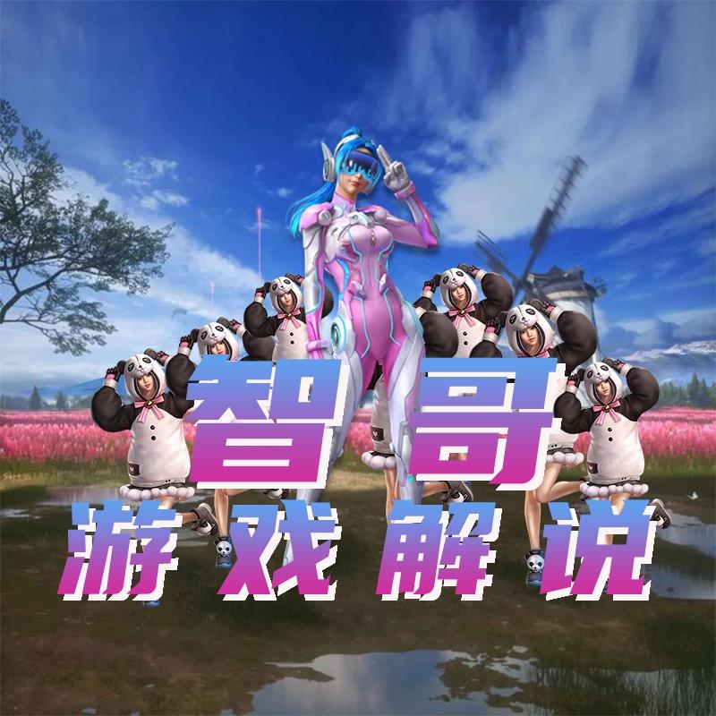智哥游戏解说