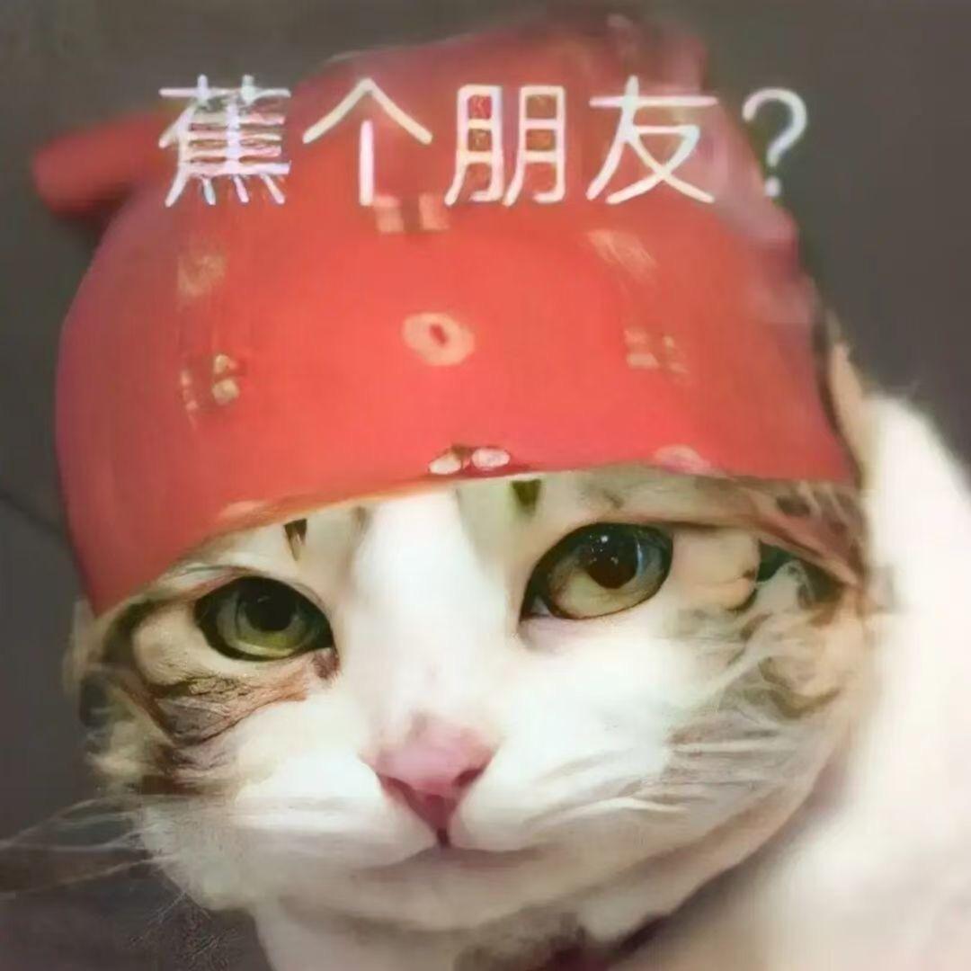 东莞市宸屹贸易有限公司小姜