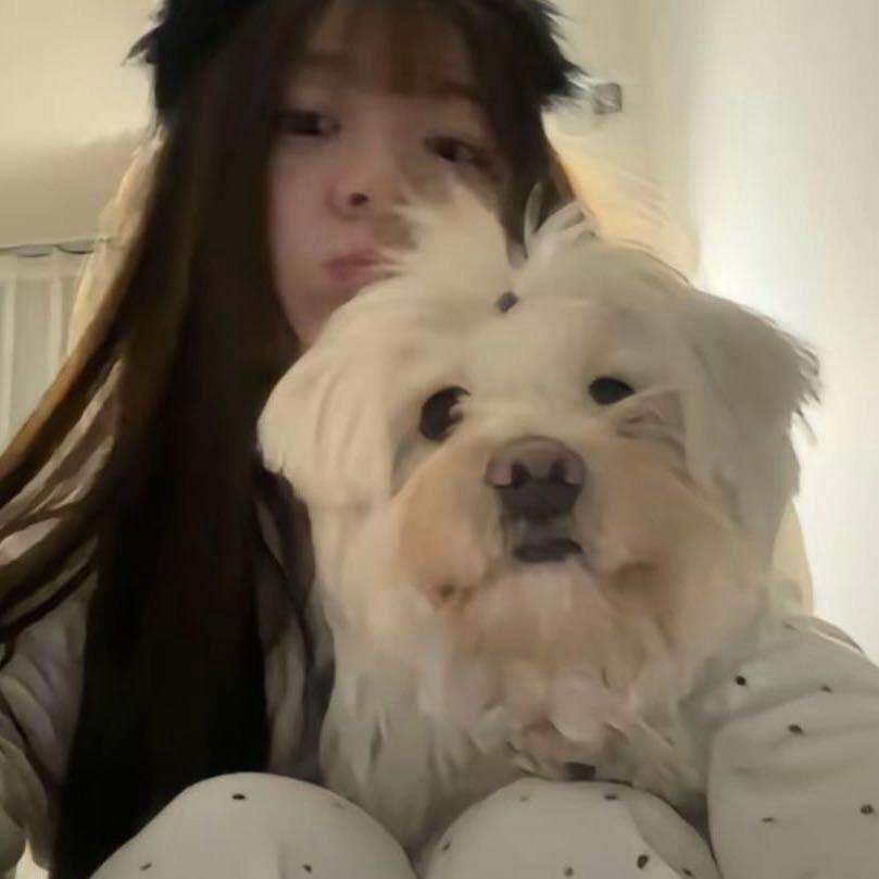 薯条🍟🍟🍟🍟