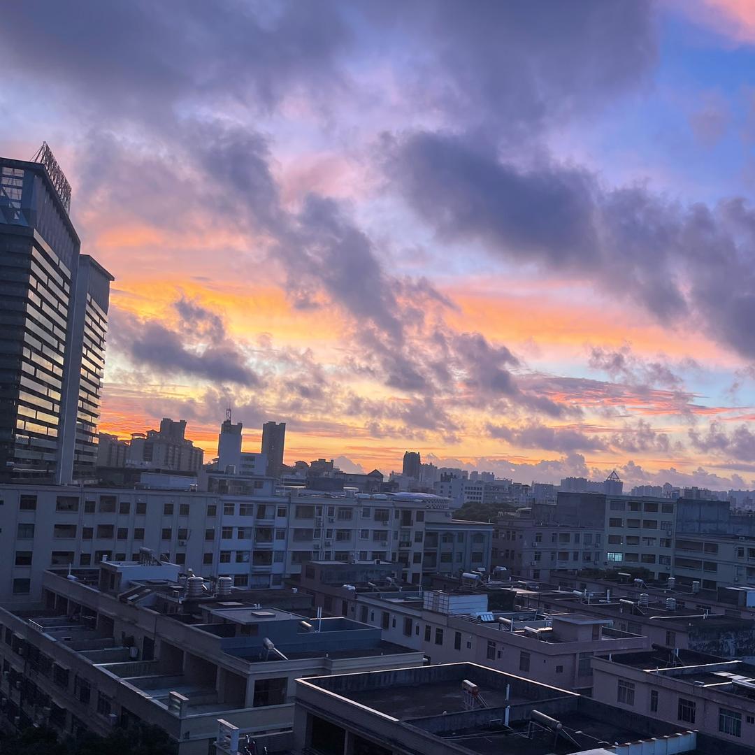 将军