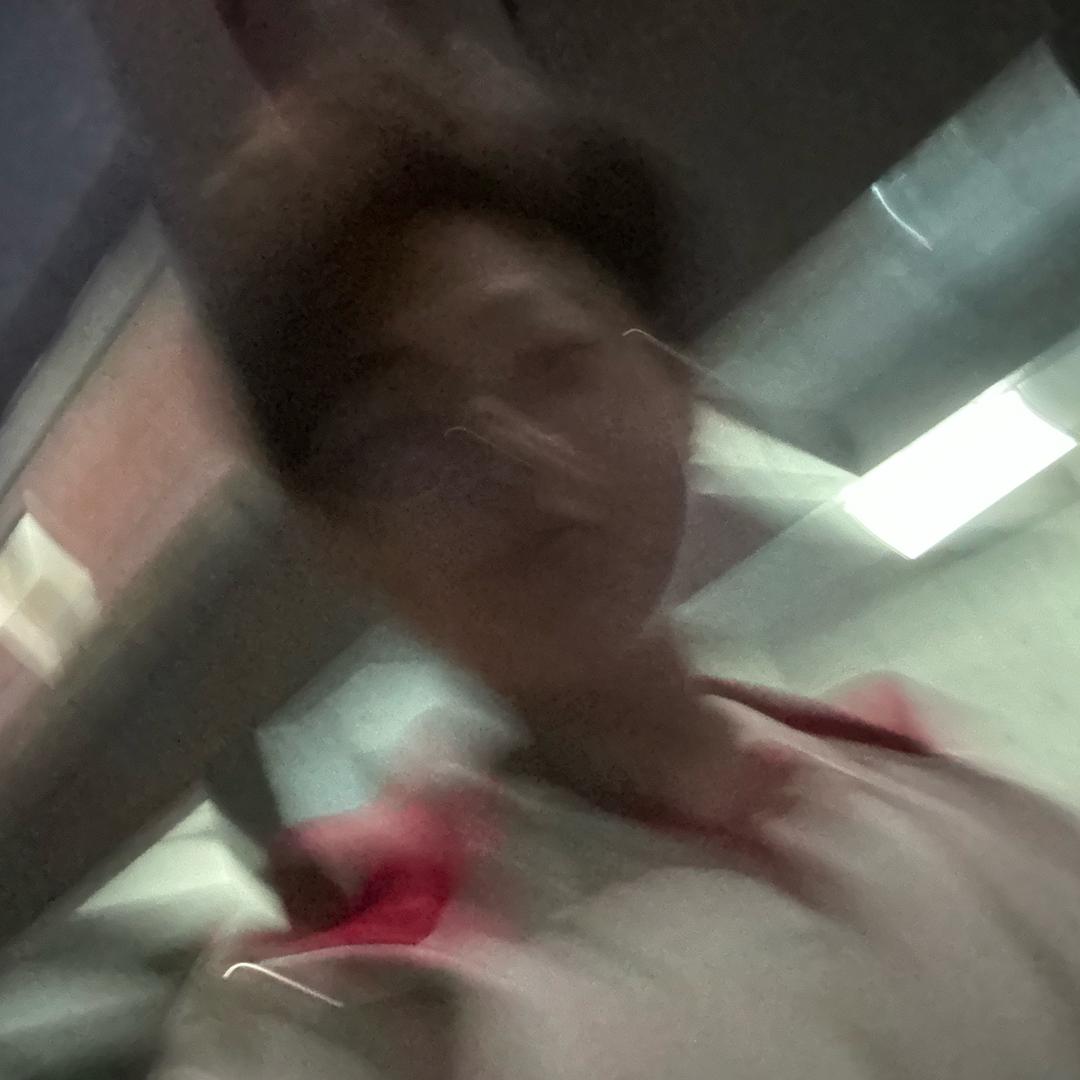 橘猫