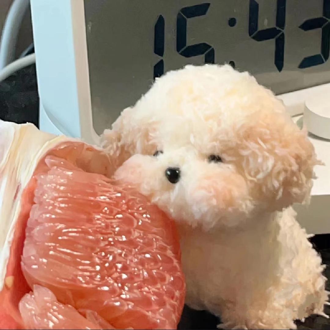 一个柚子