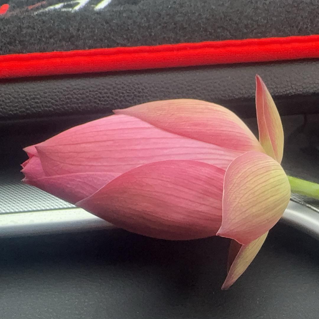 啊美（有关必回）