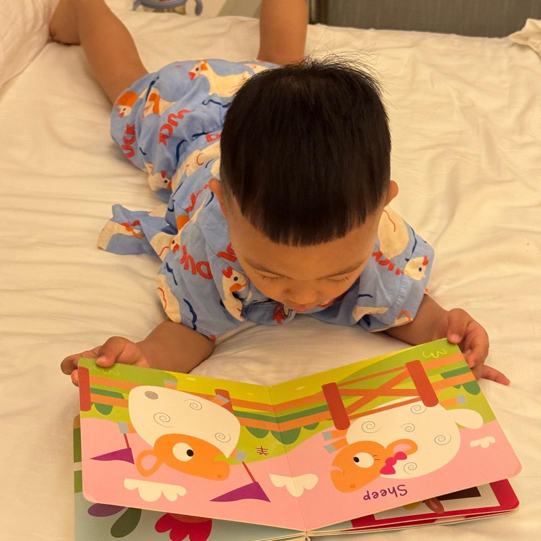 Wuli俊俊🐰