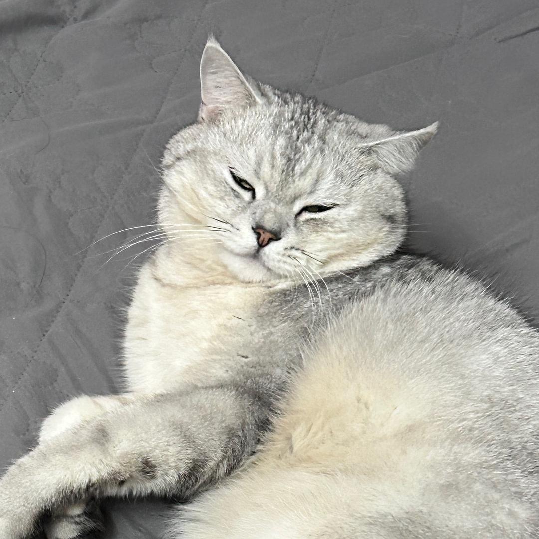 ￴ ￴ㅤㅤㅤㅤㅤ可爱多