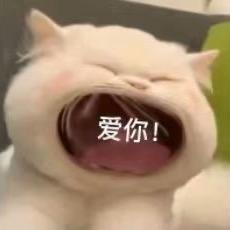 闪闪.