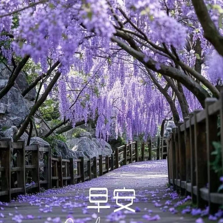岁月静好