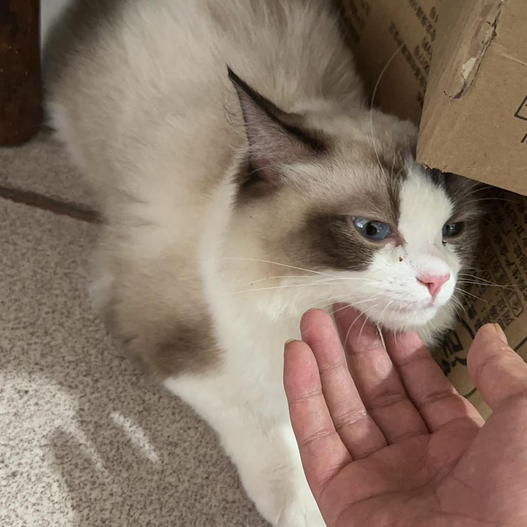 时光2-永恒国度-灭战