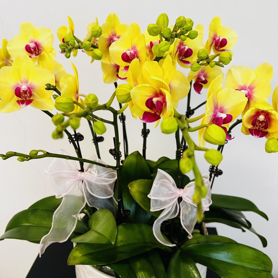 坚持就是胜利✌️！