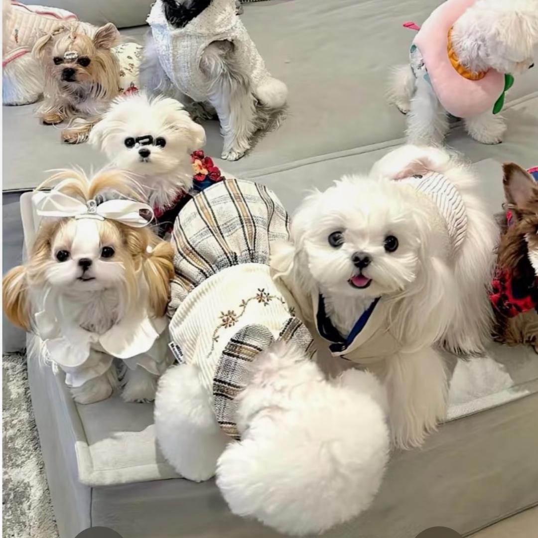 我才不要长肉