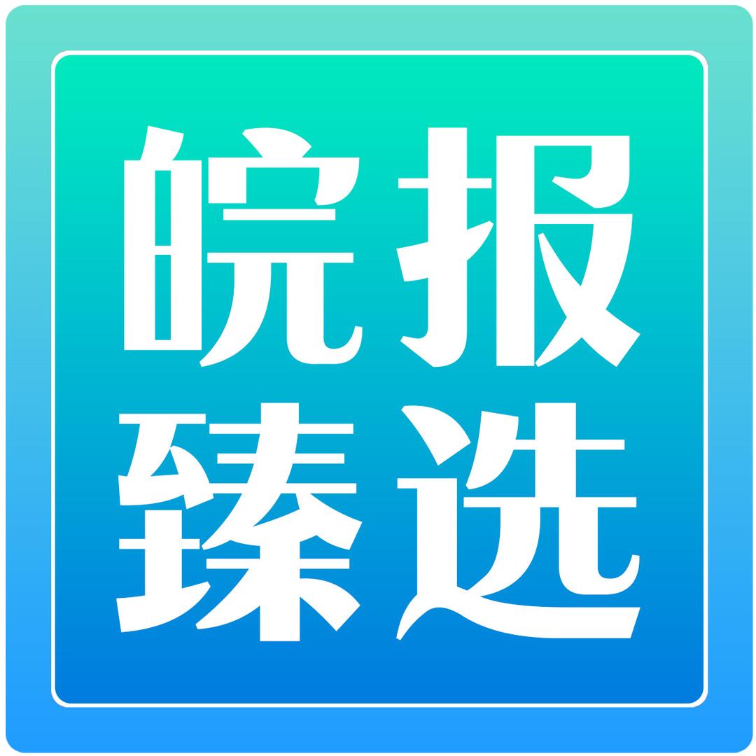 皖报臻选
