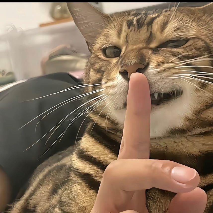猁埖