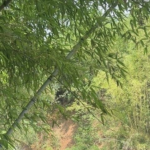 独一无二