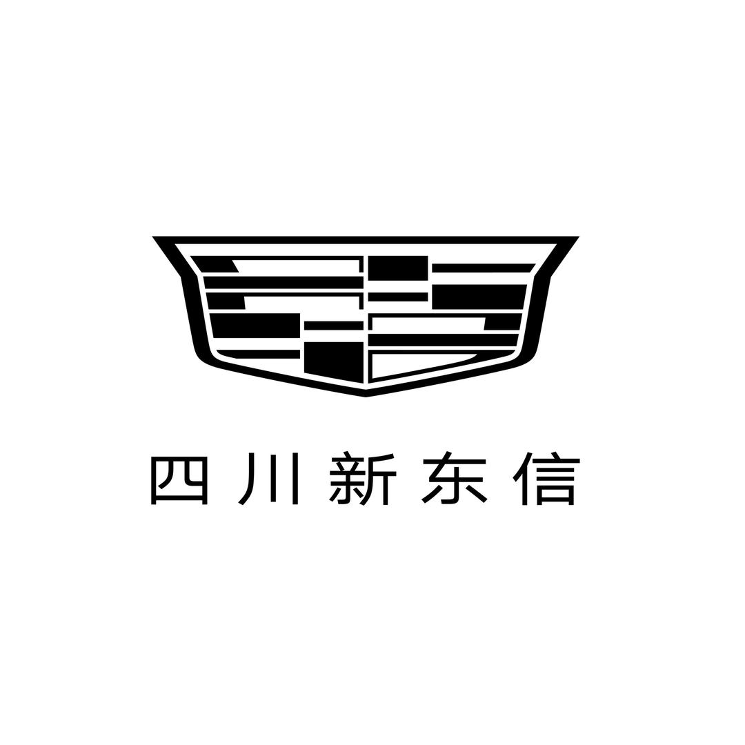凯迪拉克-四川新东信（羊西店）