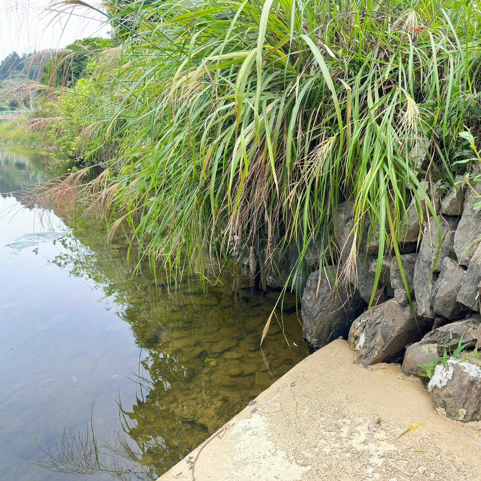 黔北国际汽车城（龙坑）