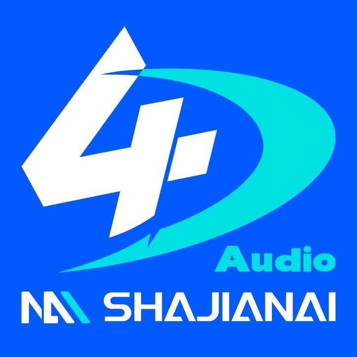 莎迦奈汽车4D音响企业店