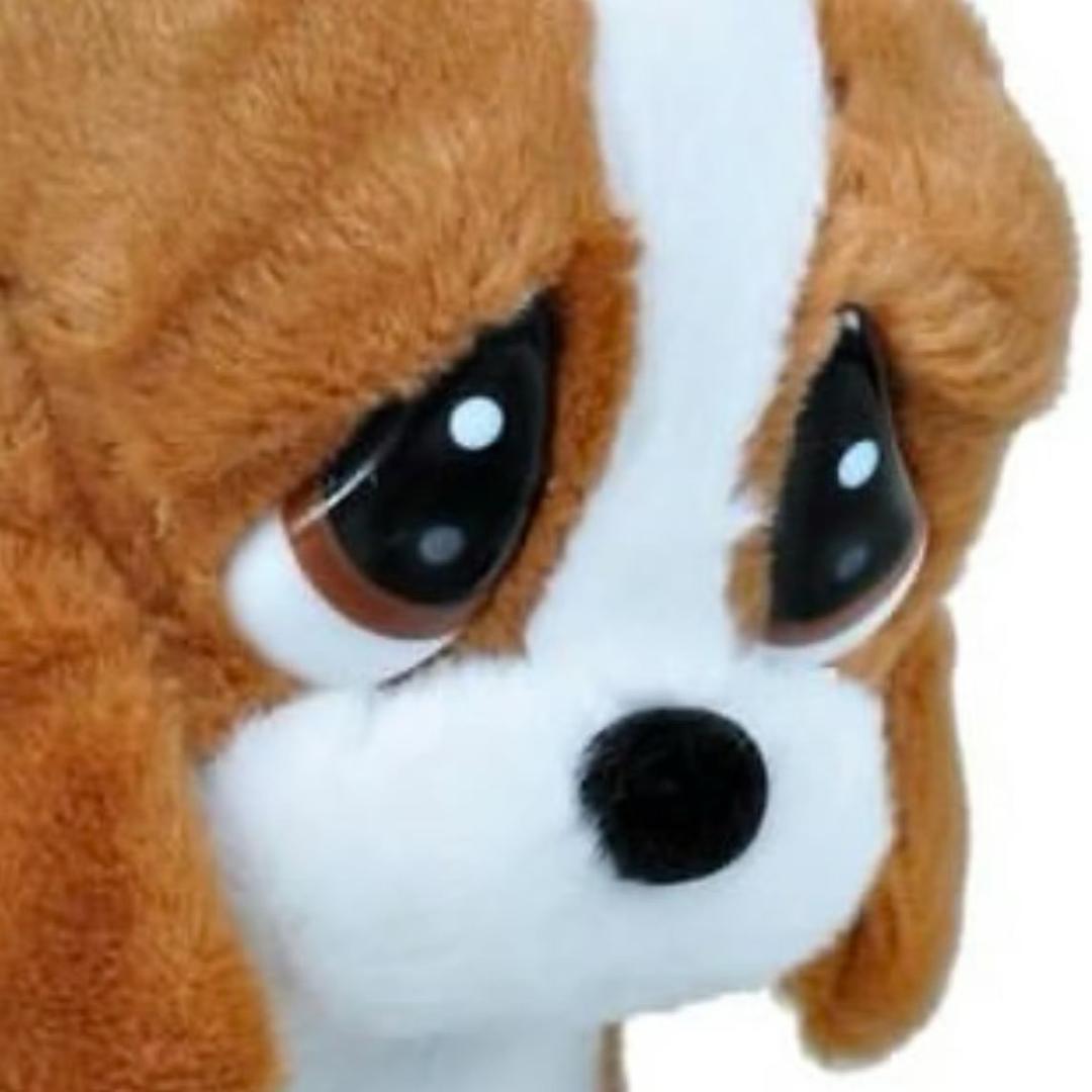 财神爷最爱的富婆nini