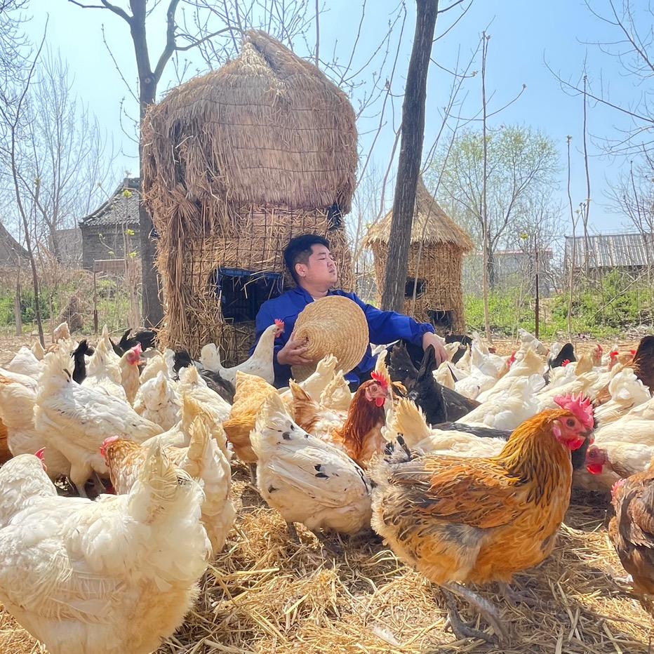 大坤乡村农场