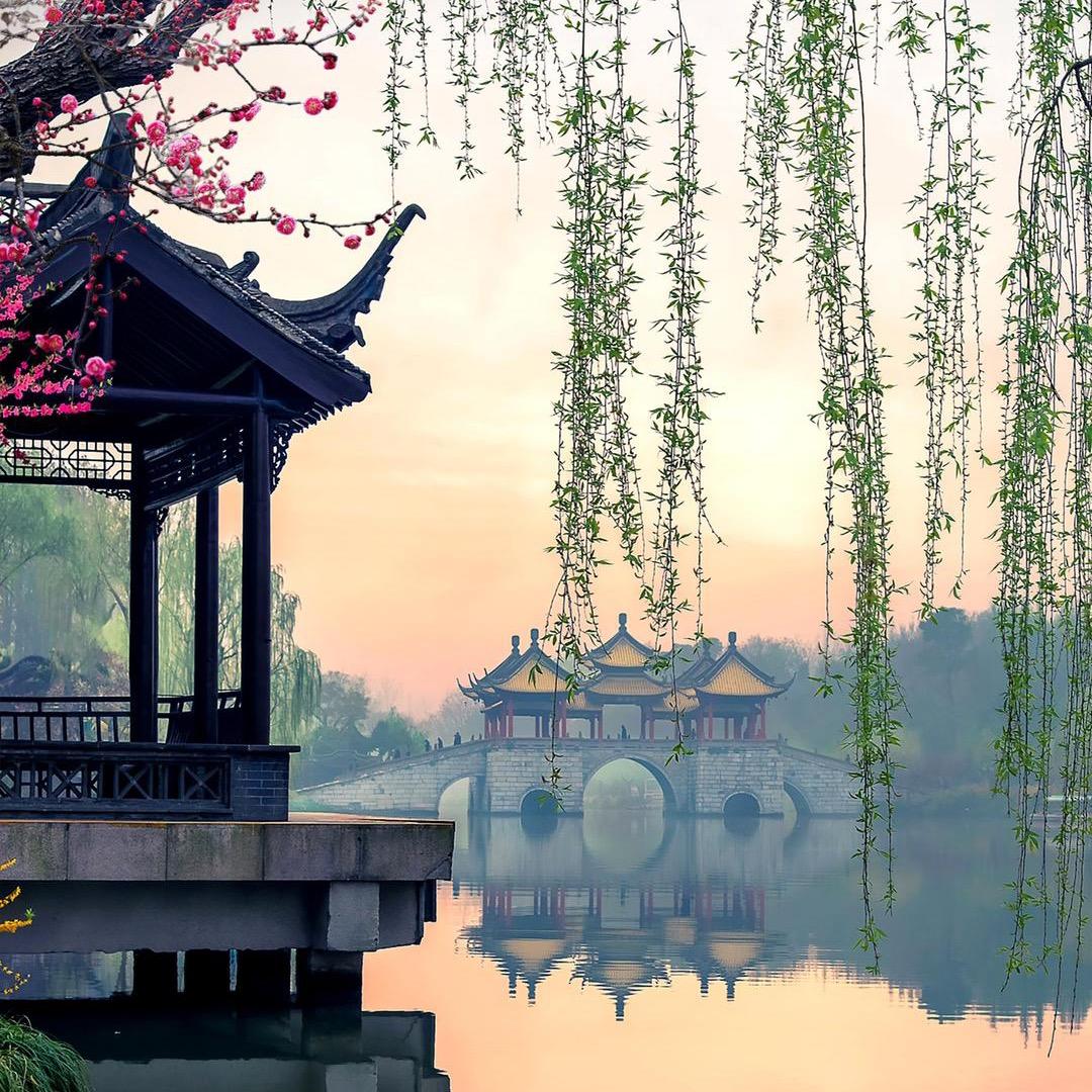 会飞的鱼🐟🐟