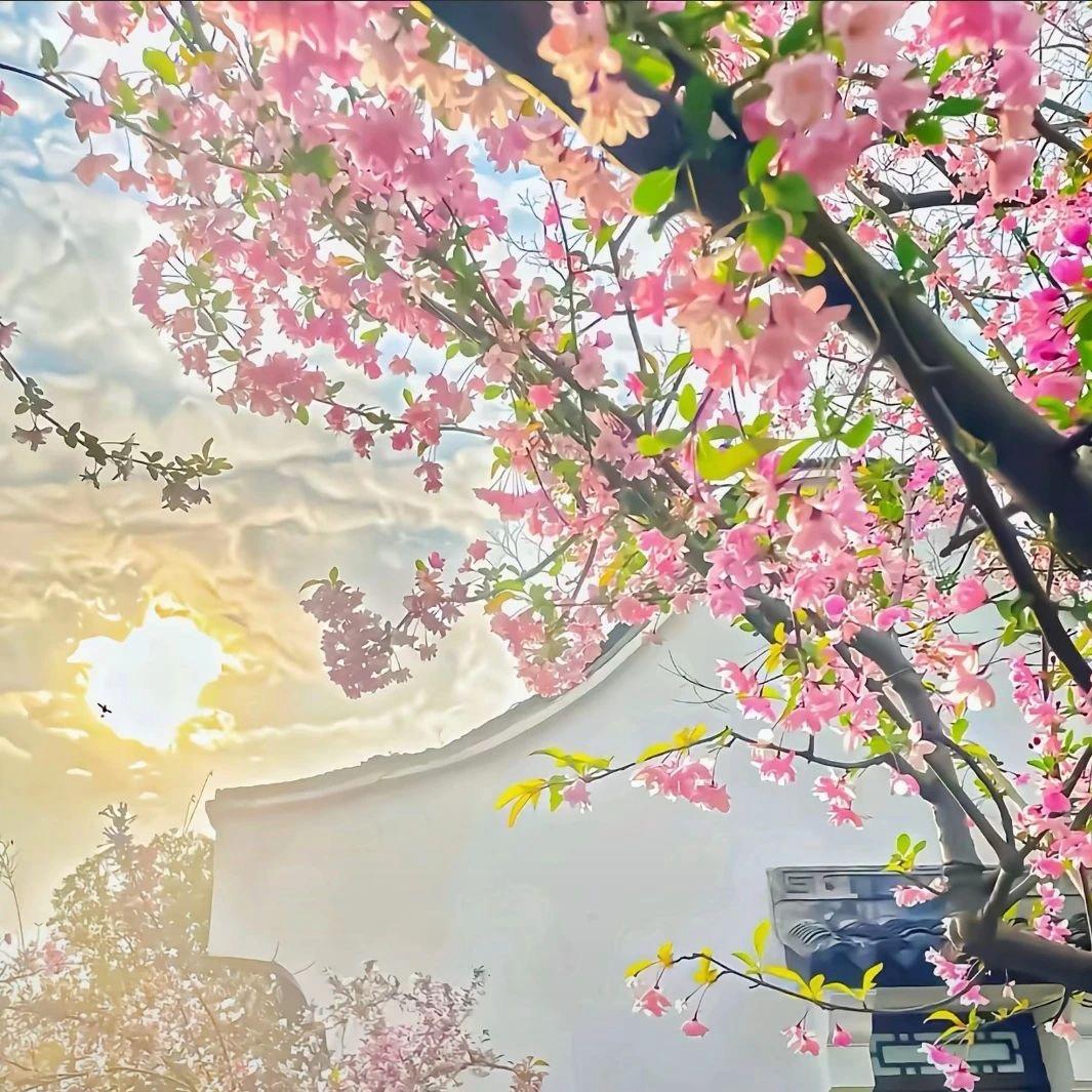 叫我小王吧！