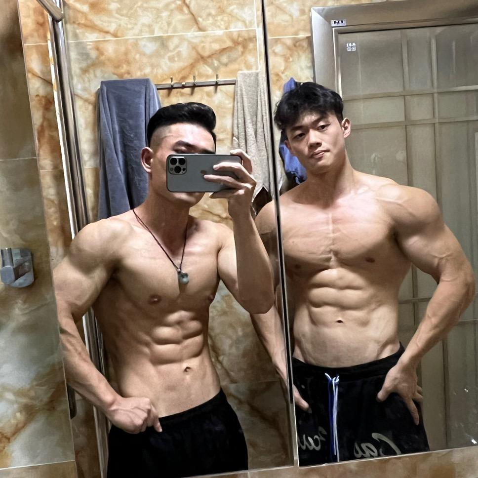 企鹅or北极熊