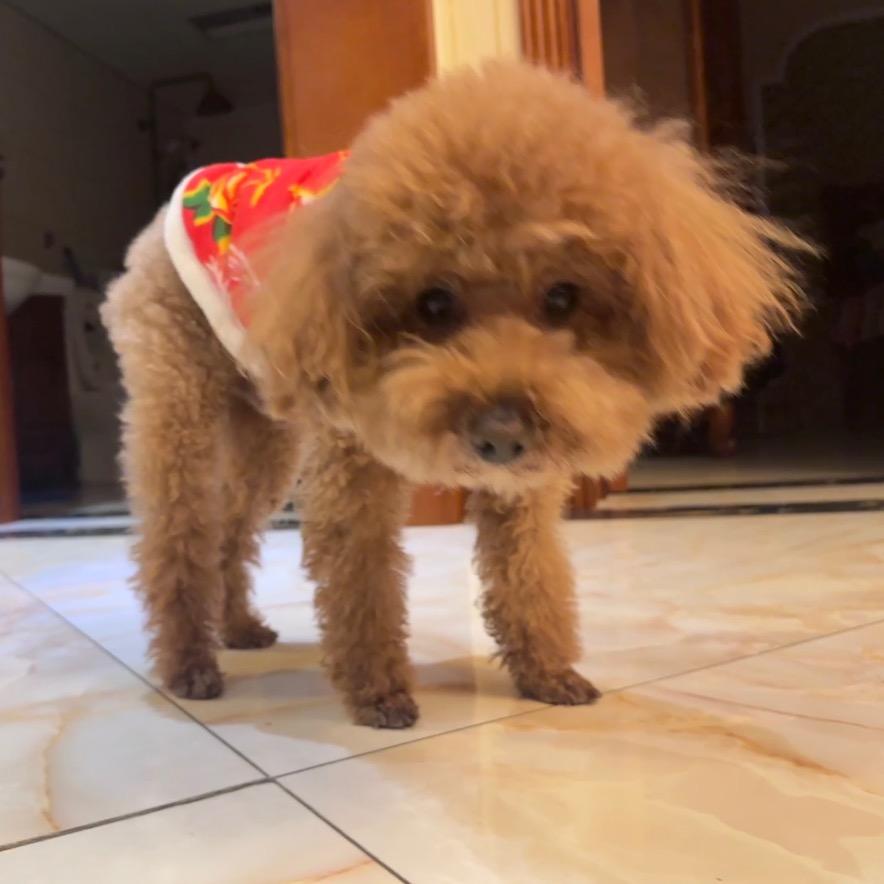 能当饭吃么你说（存储版）