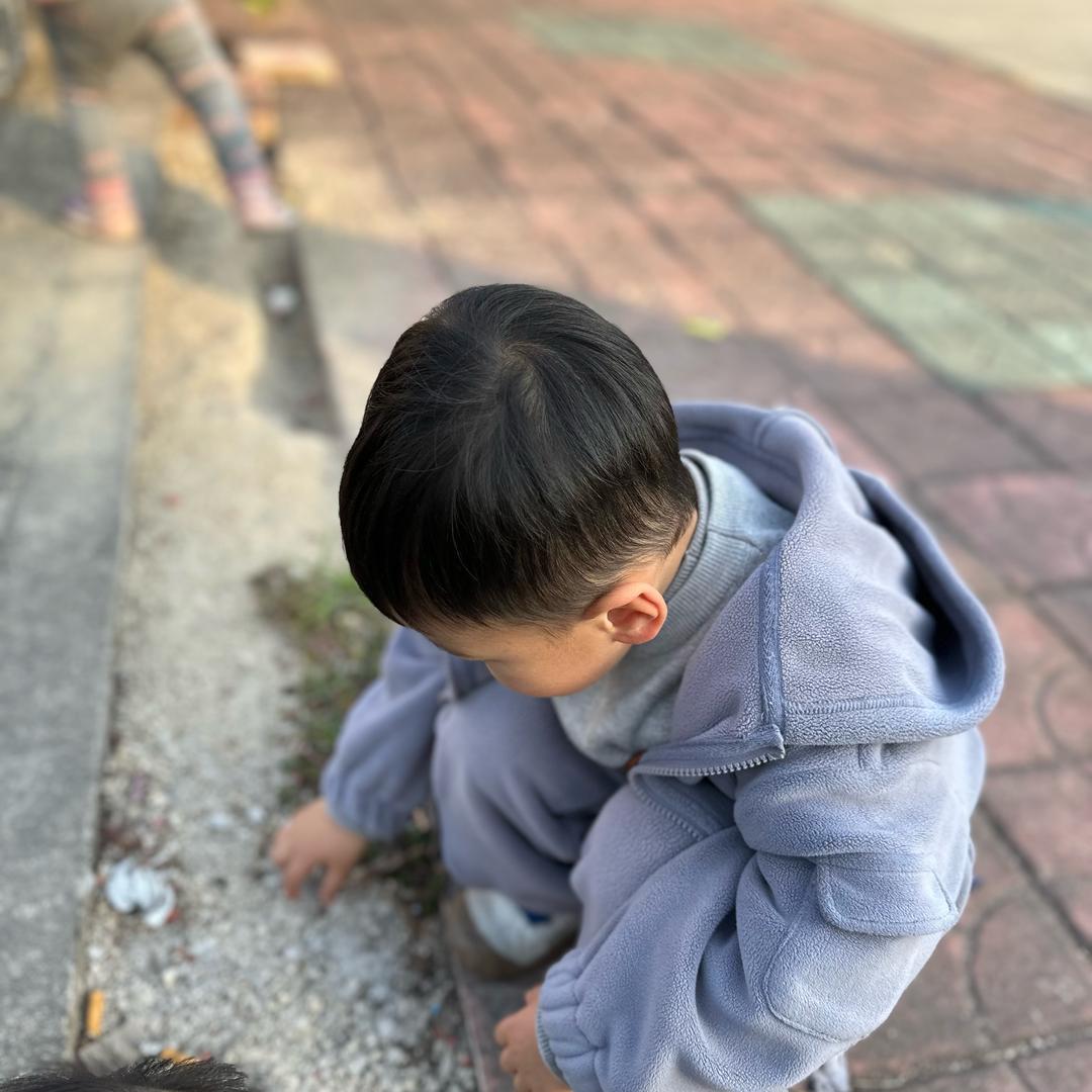 桐铄宝贝