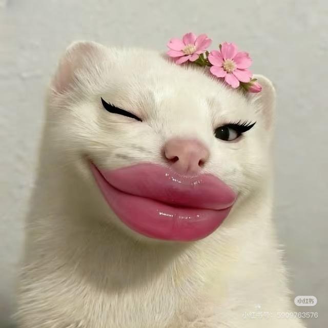 没事就多睡觉💤