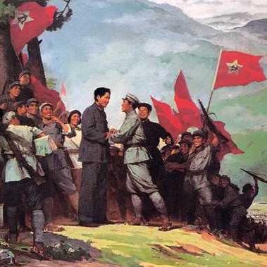 奋进的少年写手