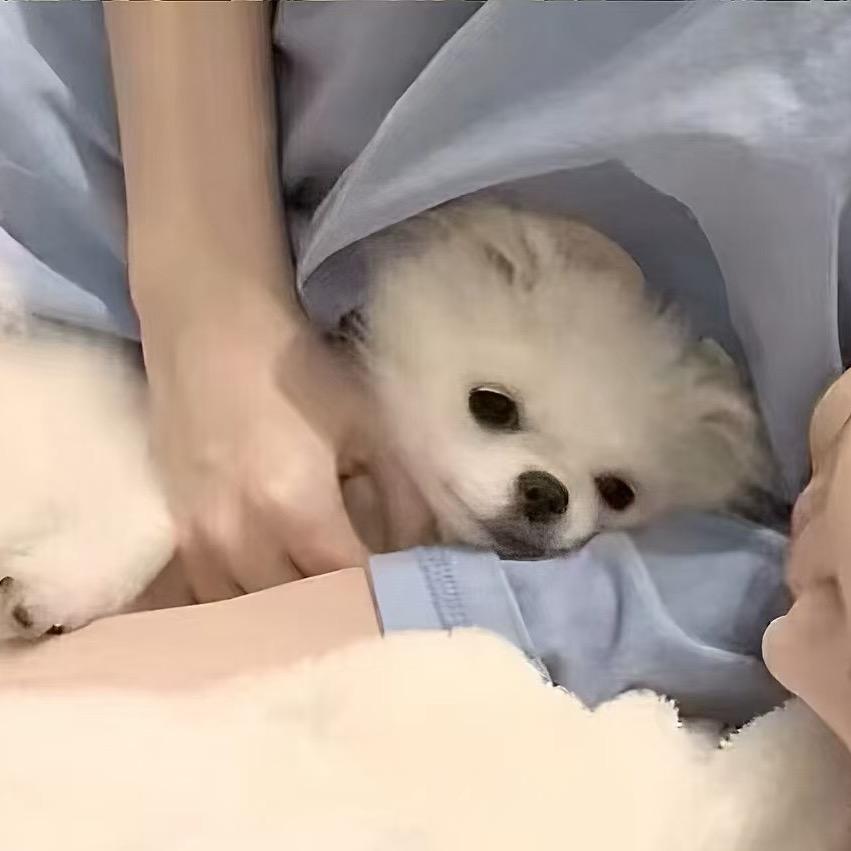 ZyYang