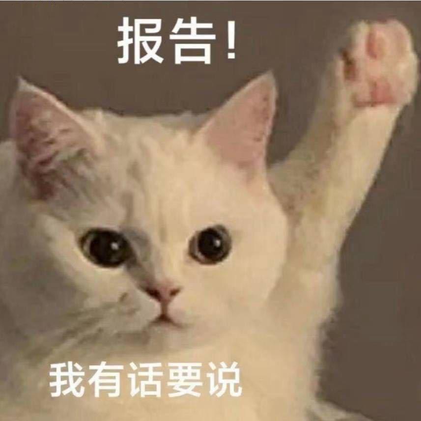 是雾终会散