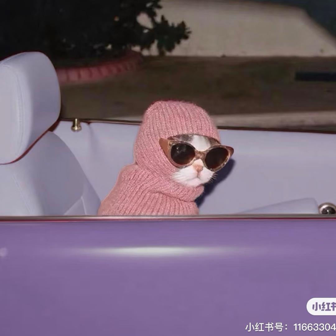 东北↗️在逃烤冷面🫓