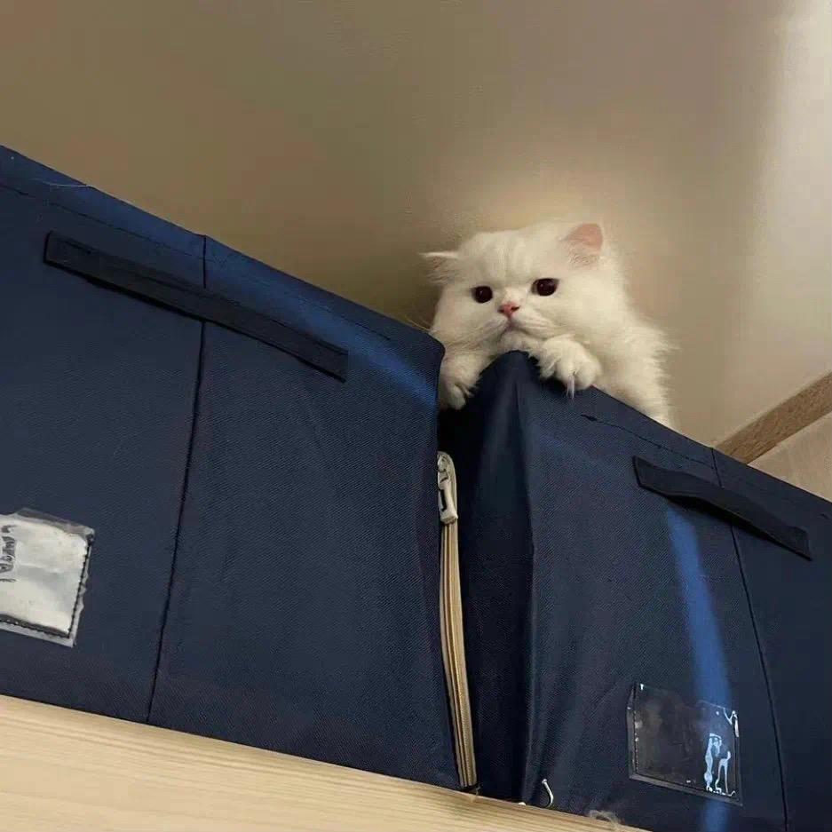 千寻