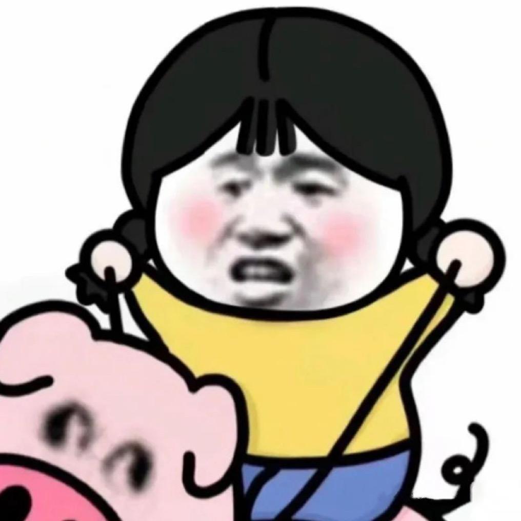 怡只猪