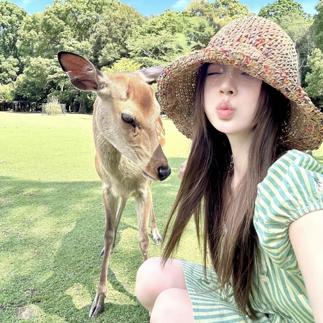 上网就是来看美女的