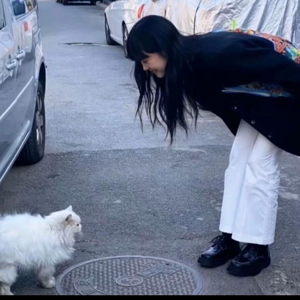 班都上不明白