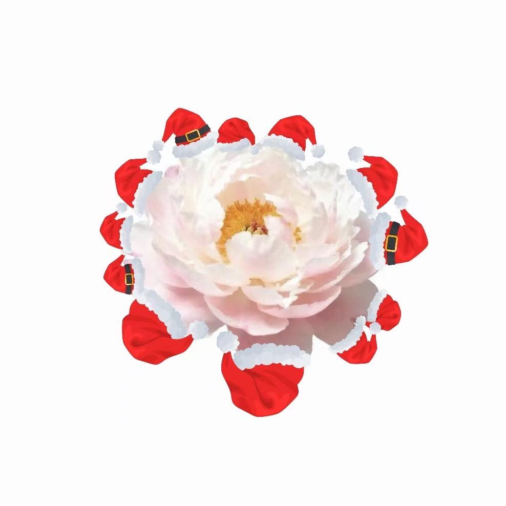 王昭君