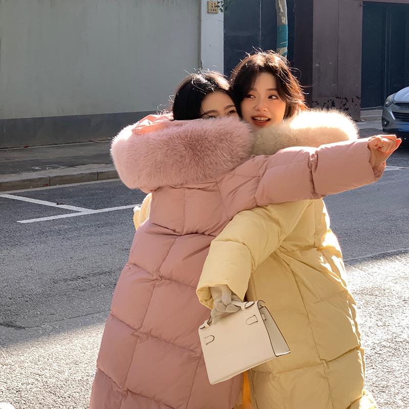 鹿鹿子__