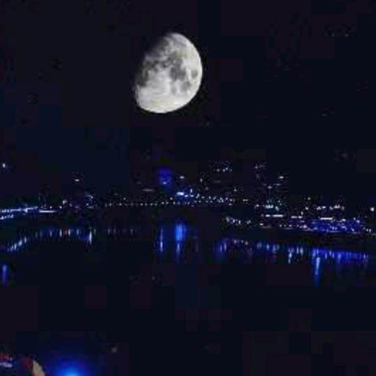邀月悬河畔🌙❄️🍀🧚‍♀️
