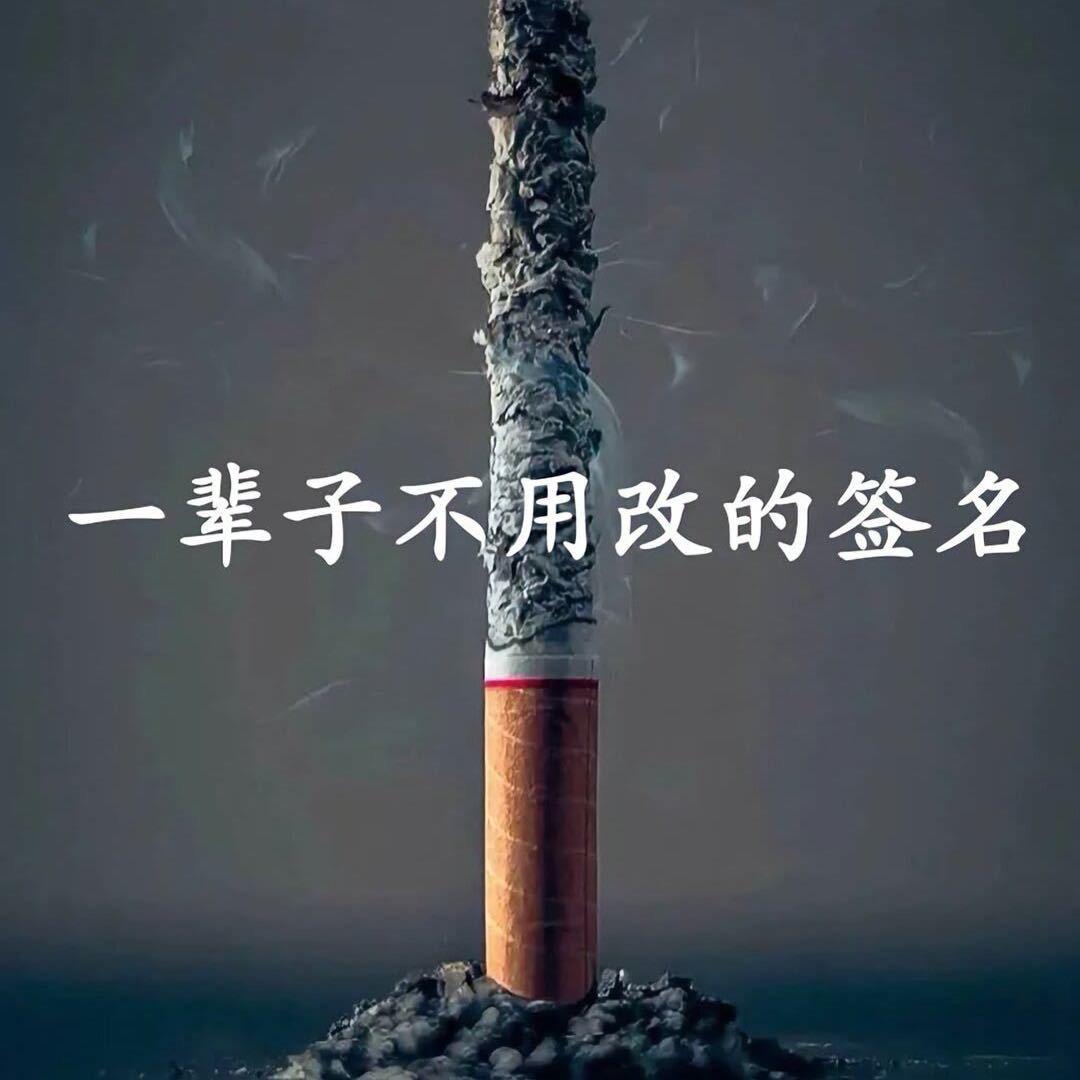 土豆你个马铃薯🥔