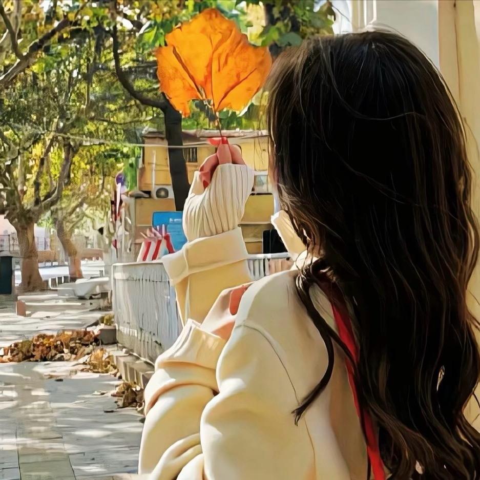 ❤️风吹半夏🍂