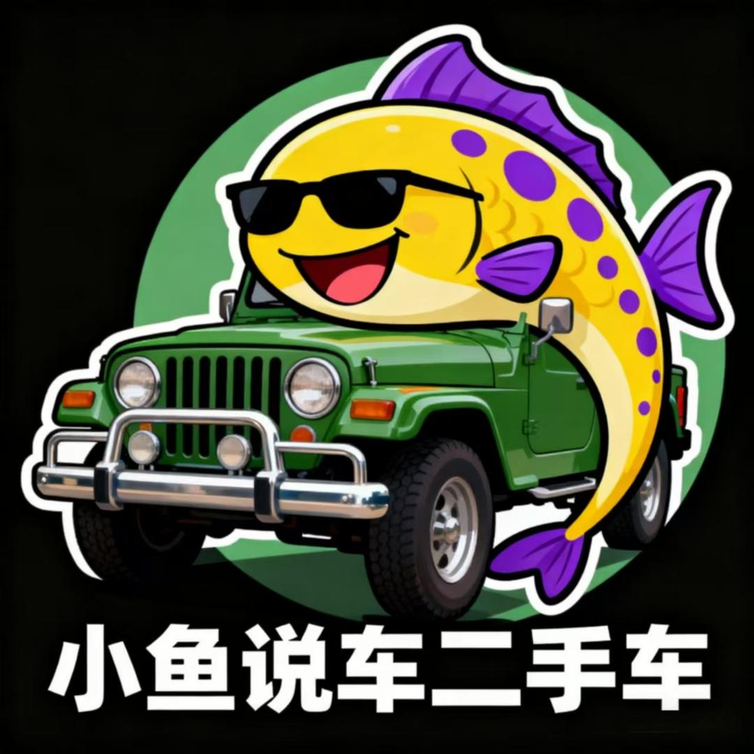 小鱼说车二手车