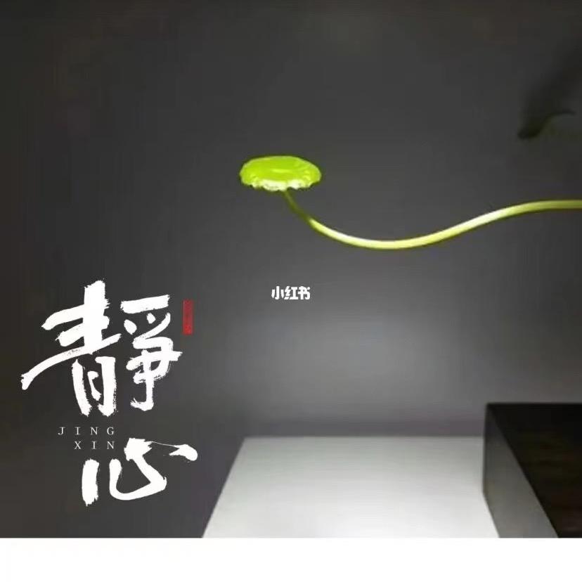 C熙辰