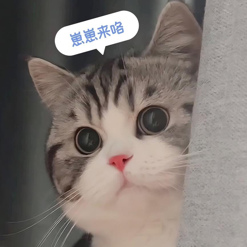 可乐崽🥤
