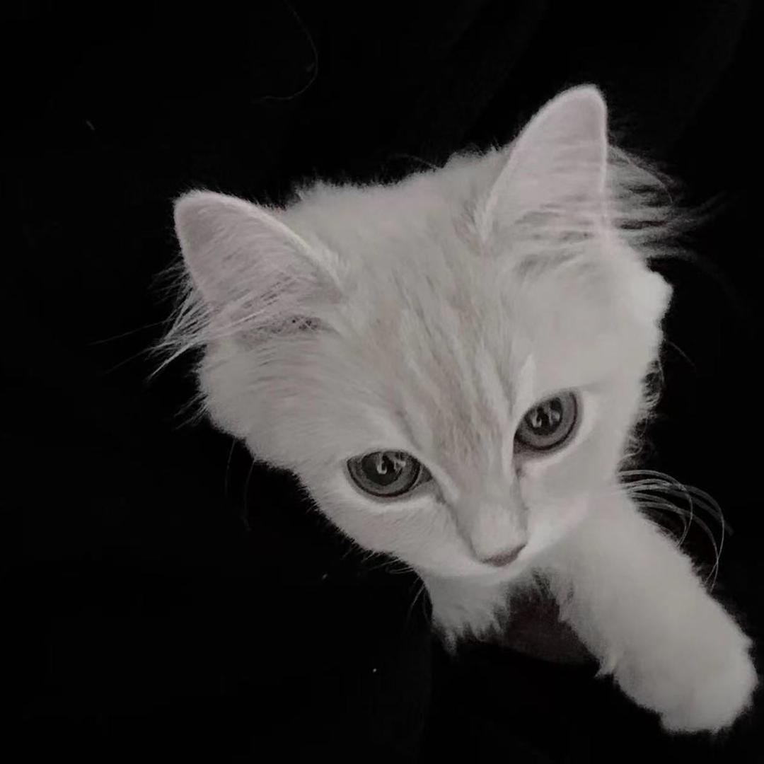 我的女朋友全世界最可爱