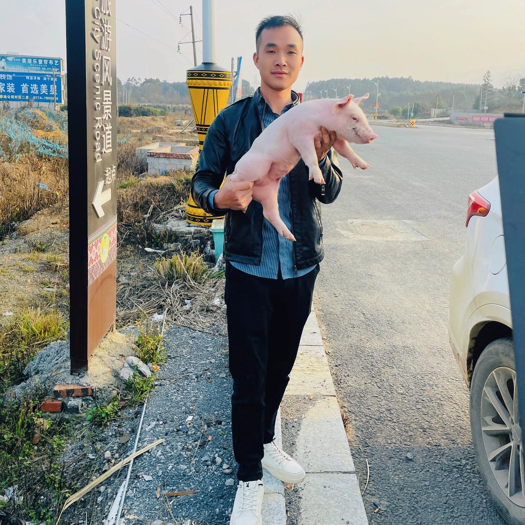 @ 猪有理🐖🐖🐖