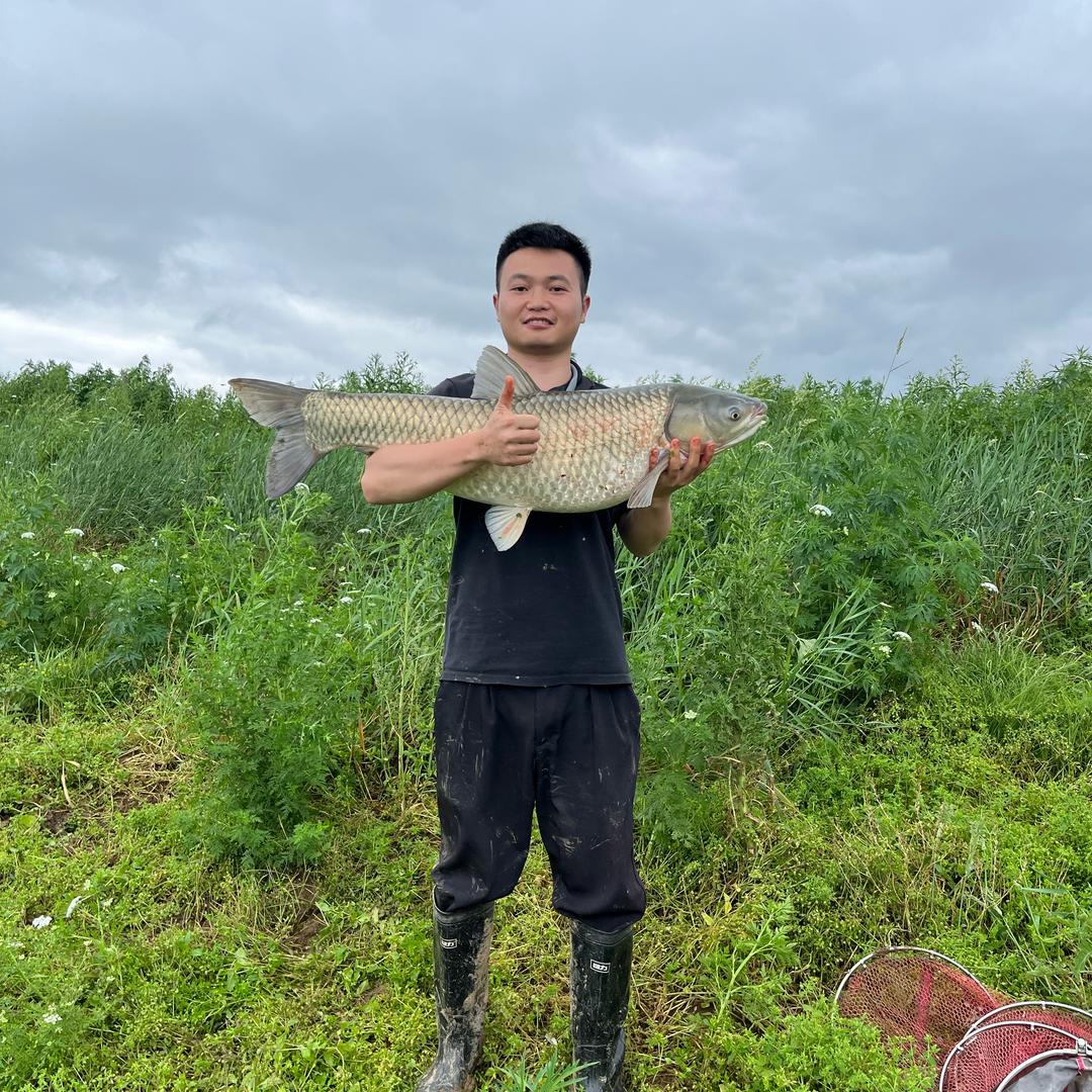 彭锅锅钓鱼